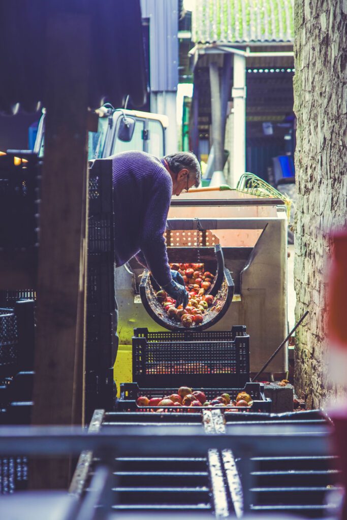 Parrett Cider Pressing Curry Rivel Big Dave