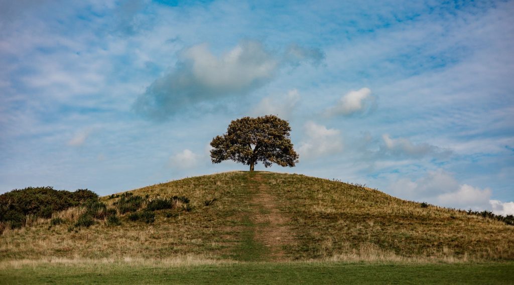Burrow Hill in South Somerset